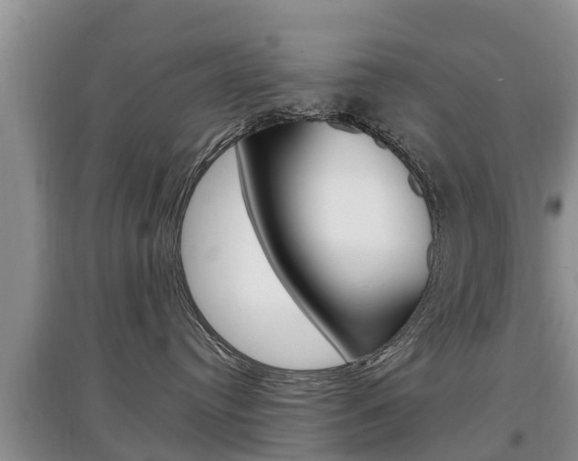 X0000097910384200803141034