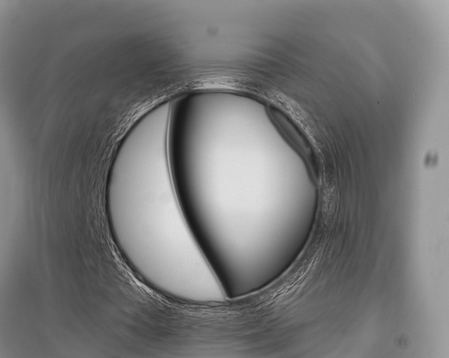 X0000097910385200803141034