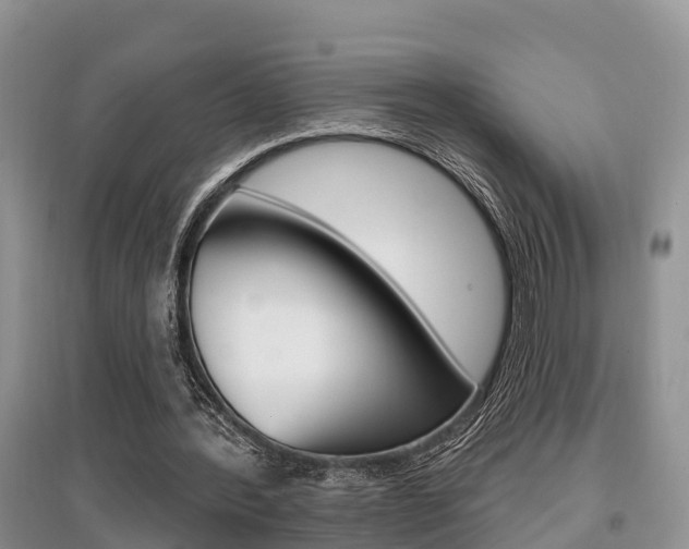 X0000097910388200803141034