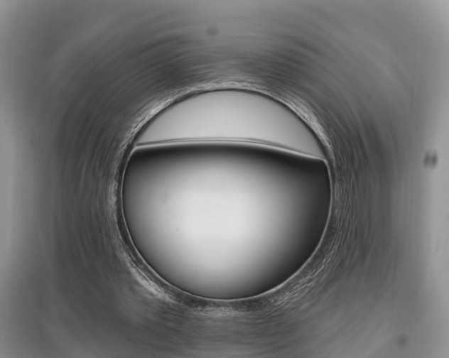 X0000097910389200803141034