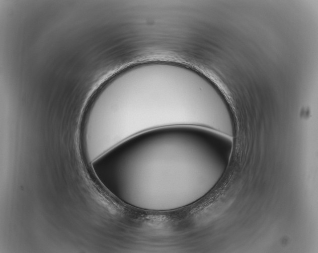 X0000097910391200803141034