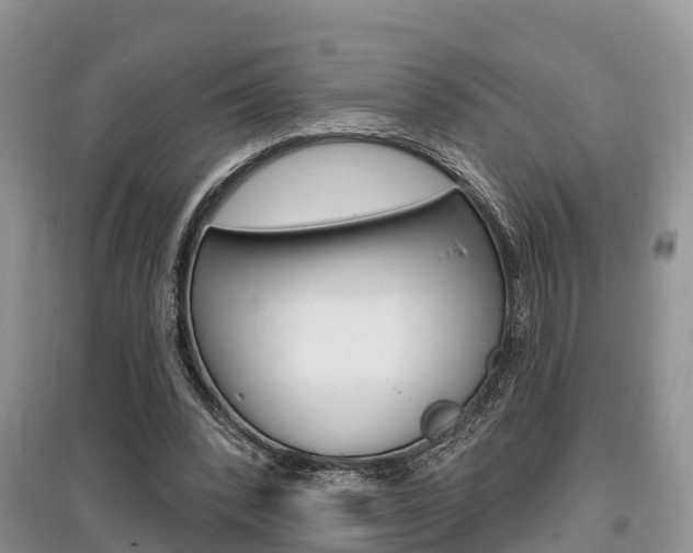 X0000097910392200803141034