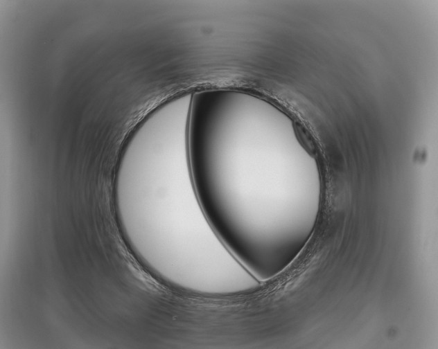 X0000097910393200803141034