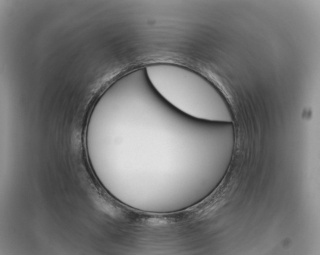 X0000097910394200803141034