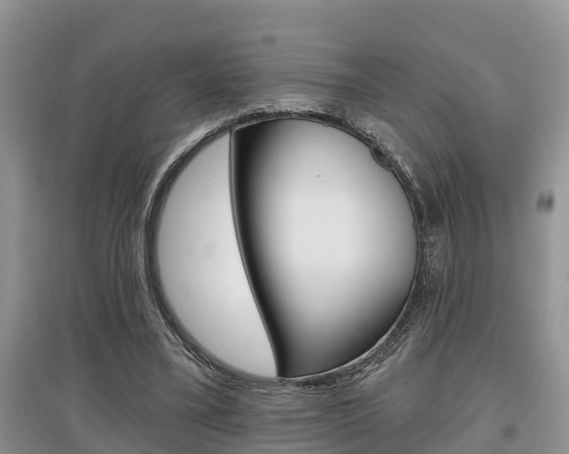 X0000097910395200803141034