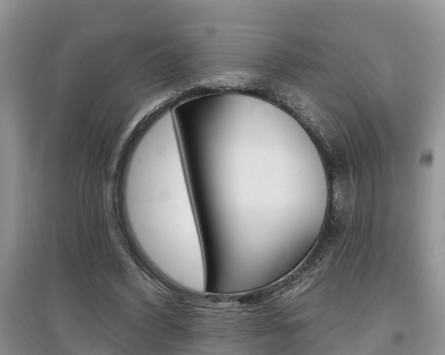 X0000097910396200803141034