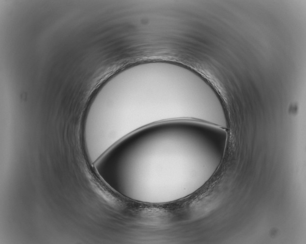 X0000097910397200803141034