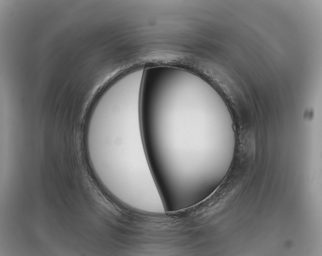 X0000097910399200803141033