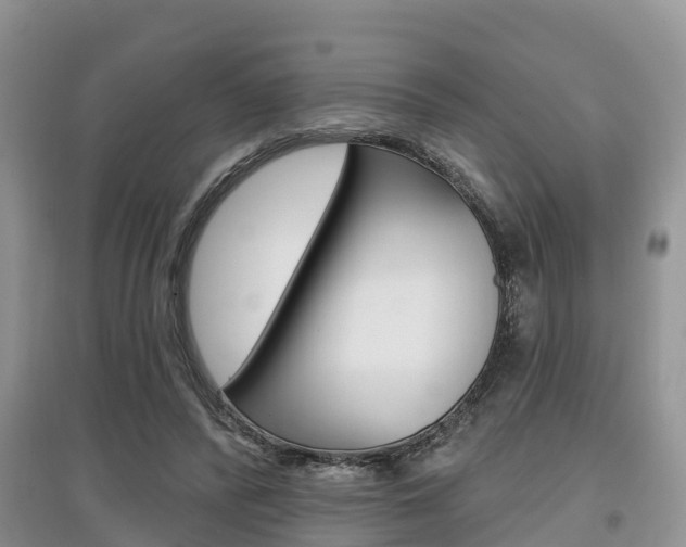 X0000097910400200803141033