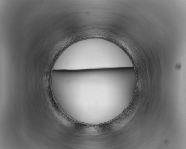 X0000097910402200803141033