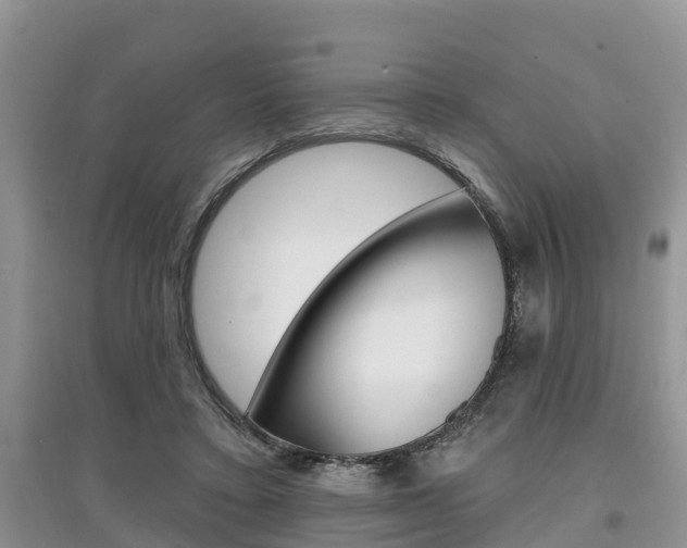 X0000097910403200803141033
