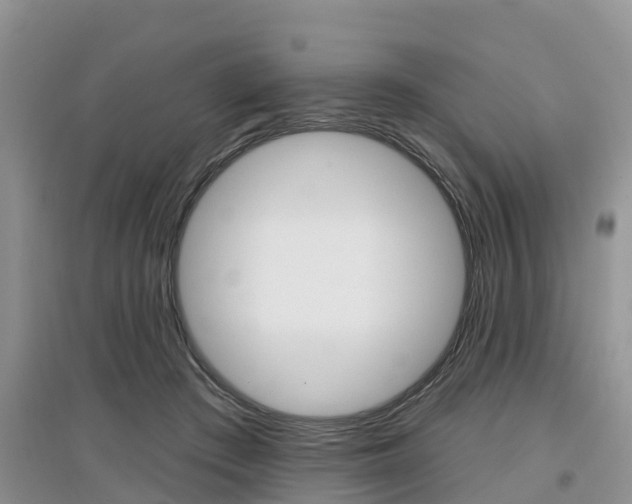 X0000097910409200803141033
