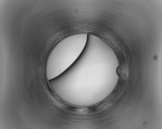 X0000097910410200803141033