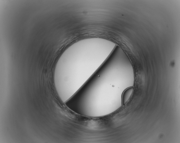 X0000097910412200803141033