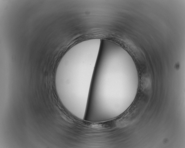 X0000097910413200803141033