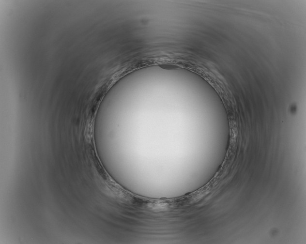 X0000097910419200803141033
