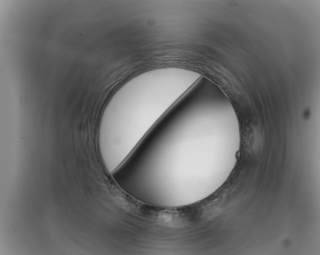 X0000097910420200803141033