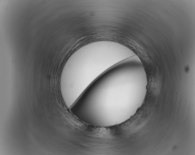 X0000097910421200803141033
