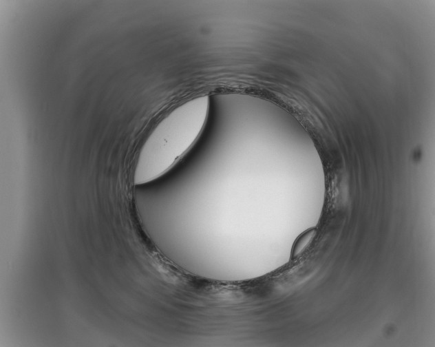 X0000097910424200803141033