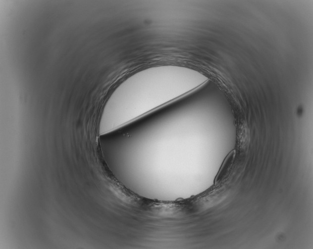 X0000097910428200803141033