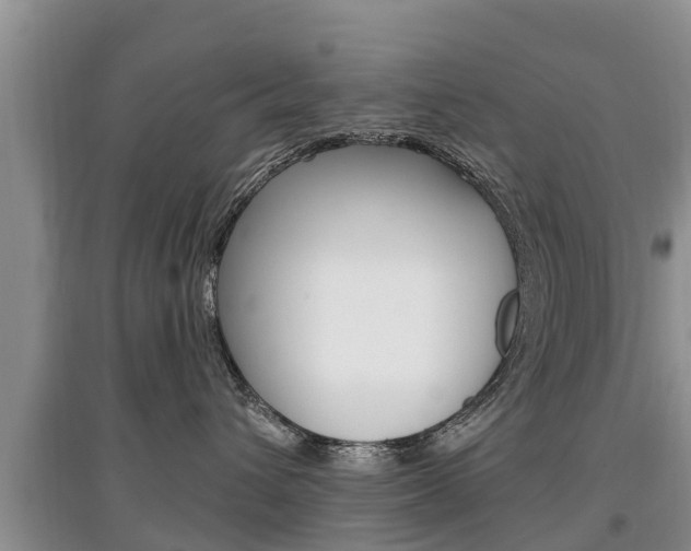 X0000097910432200803141033