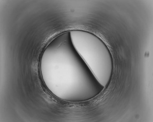 X0000097910434200803141032