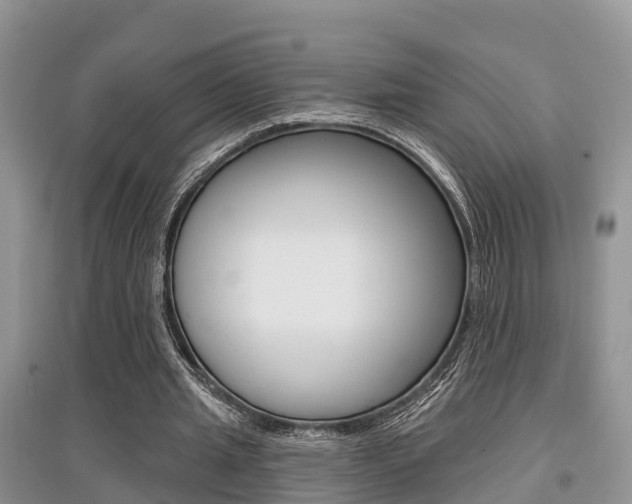 X0000097910437200803141032