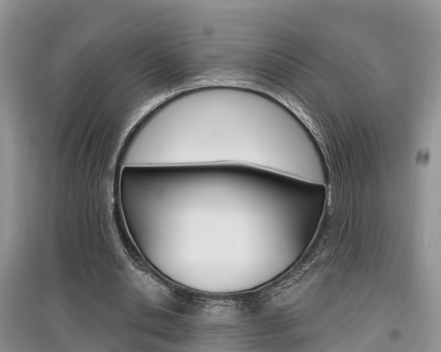 X0000097910438200803141032
