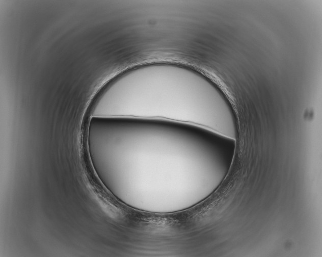 X0000097910439200803141032