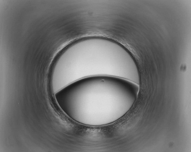 X0000097910440200803141032