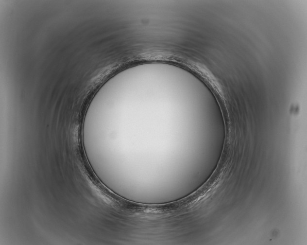 X0000097910441200803141032