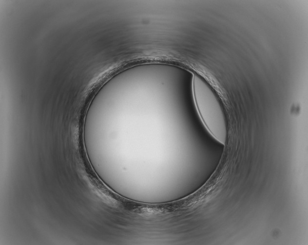 X0000097910442200803141032