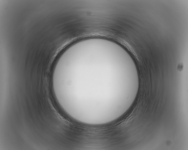 X0000097910444200803141033