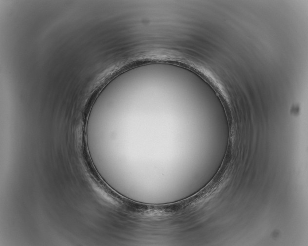 X0000097910445200803141033