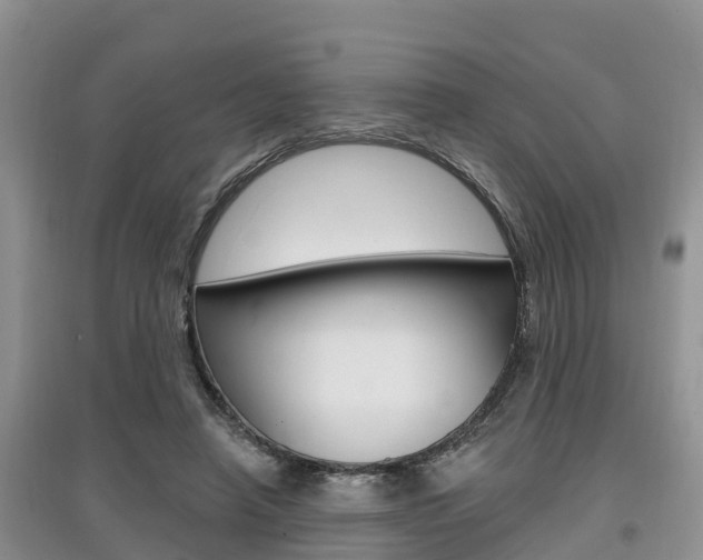 X0000097910450200803141033