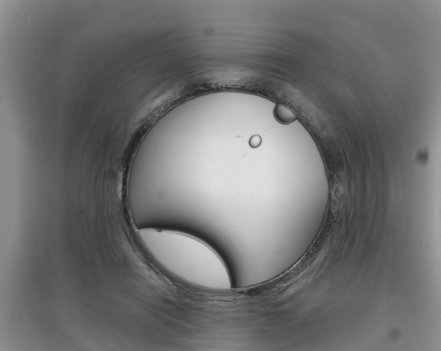 X0000097910454200803141033