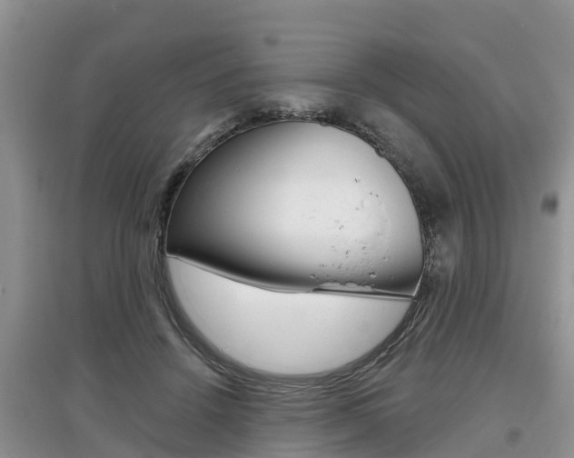X0000097910456200803141033