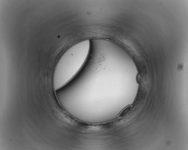 X0000097910457200803141033