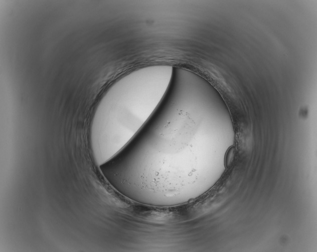 X0000097910458200803141033