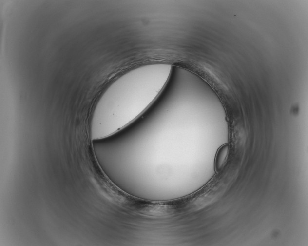X0000097910459200803141033