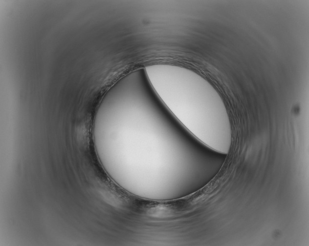 X0000097910460200803141033
