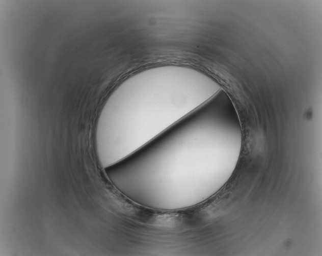 X0000097910461200803141033