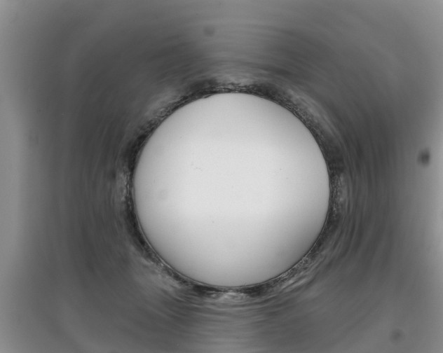 X0000097910463200803141033
