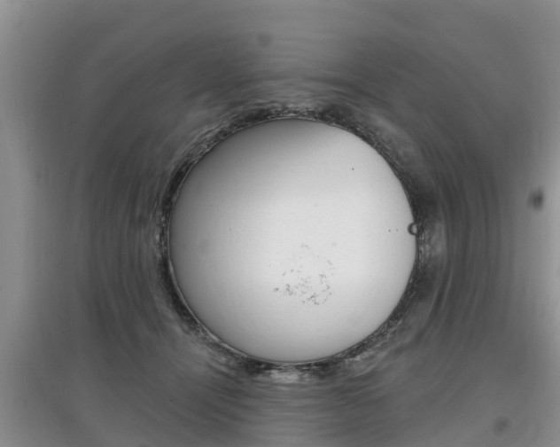 X0000097910464200803141033