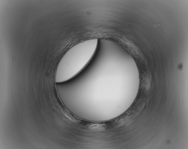 X0000097910465200803141033