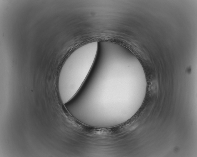 X0000097910466200803141033