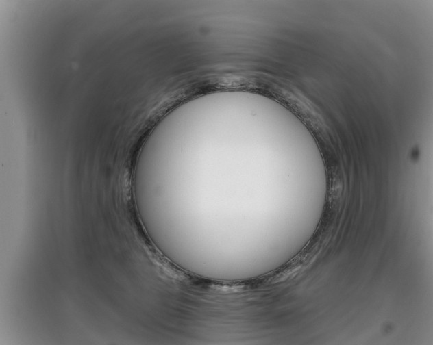 X0000097910469200803141033