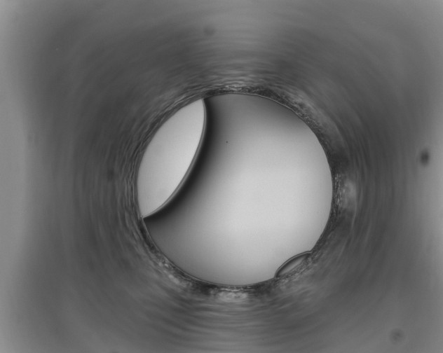 X0000097910471200803141033