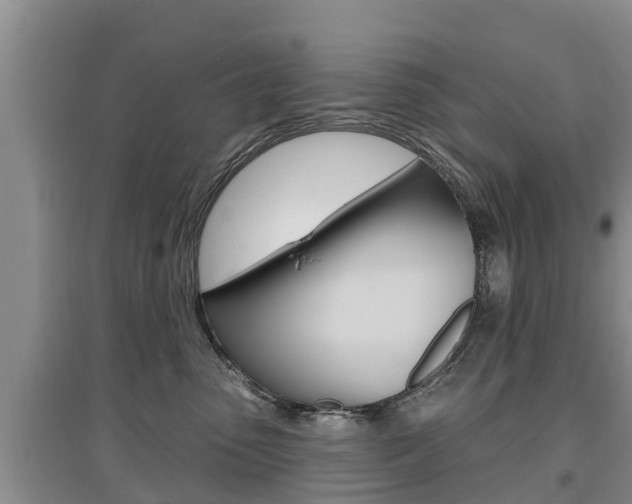 X0000097910475200803141033