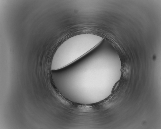 X0000097910476200803141033